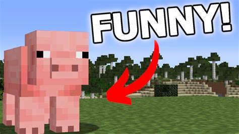 Funny Minecraft Mobs に対する画像結果