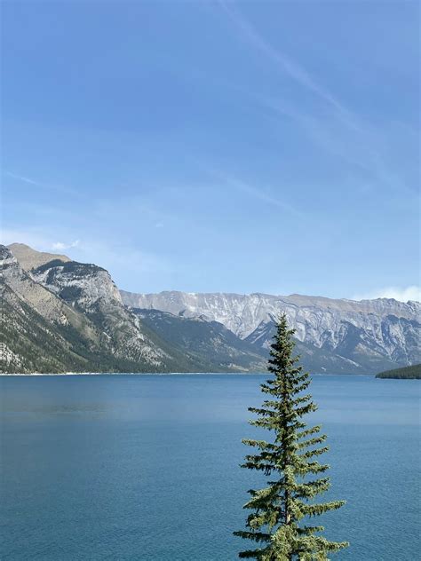 Image result for 9-Pin Serial Connector to USB