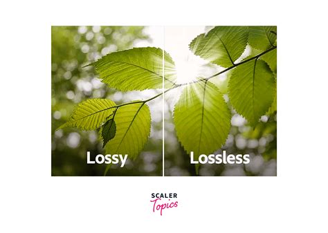 Afbeeldingsresultaten voor Fastest Data Compression