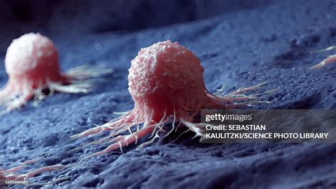 Image result for Cancer Cell Picto