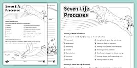 Image result for Poster On Life Processes