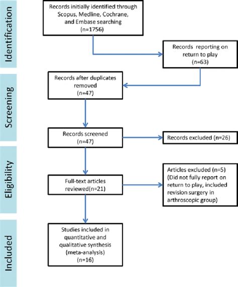 Image result for Flowchart Voorbeeld Systematic Review