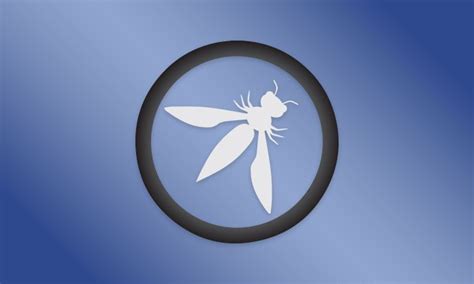 Image result for OWASP Scan