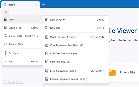 Image result for Windows 1.0 File Viewer