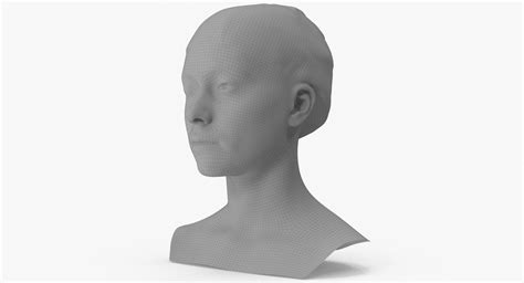 Image result for Visible Human Scan Head