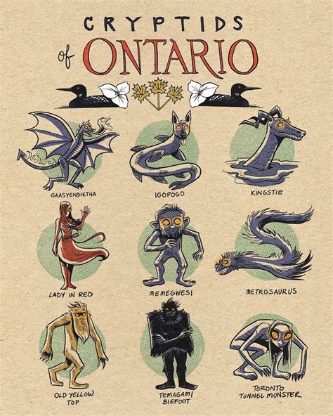 Cryptid Attacks ପାଇଁ ପ୍ରତିଛବି ଫଳାଫଳ