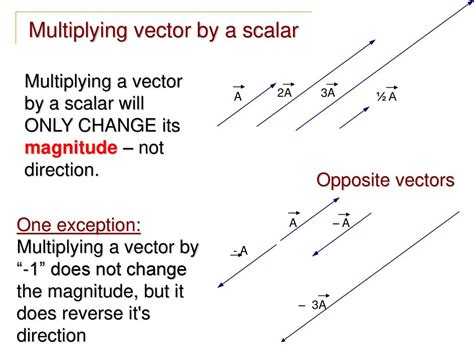 Image result for Multiplying Vector by a Scalar