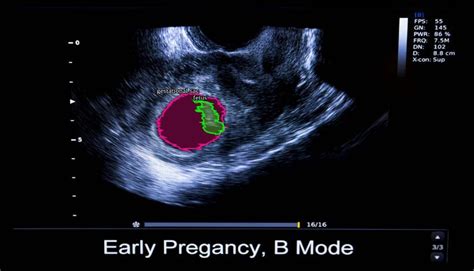 How to Label Dataset for Machine Learning に対する画像結果