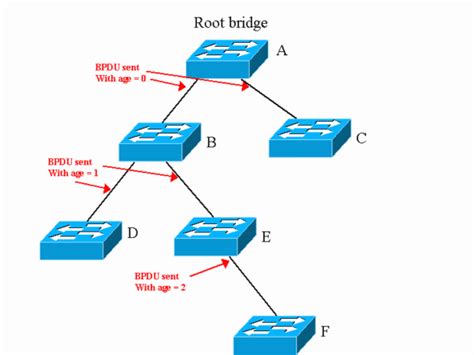 Image result for Spanning-Tree Priority Chart