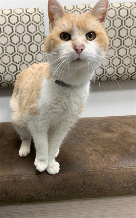 Image result for Facebook Loading Interface Image