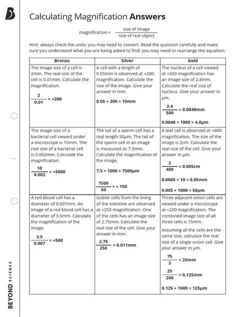 Image result for Calculating Magnification Worksheet Y7