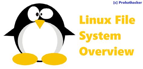 Image result for Linux File System Portrit