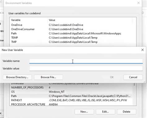 Afbeeldingsresultaten voor User Variables Path