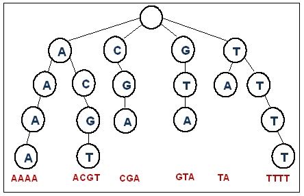 Tri Data Structure に対する画像結果