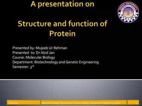 Image result for Protein Structure and Function