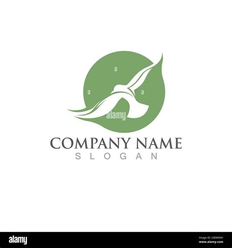 SQL Bird Logo に対する画像結果