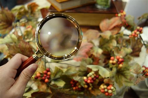 Image result for Magnifying Glass Meaning in Picture Fall