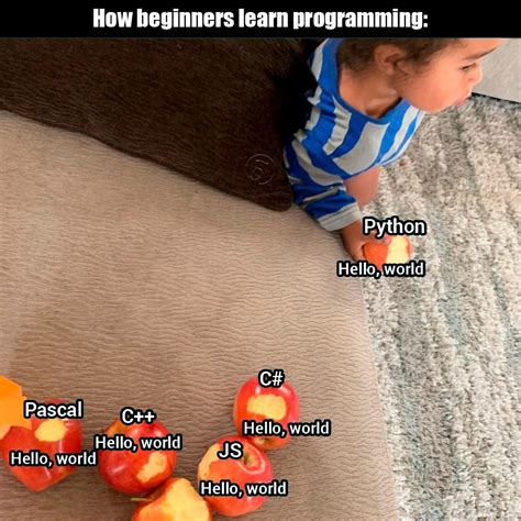 Afbeeldingsresultaten voor HelloWorld Ai Algorithm Meme Programmer Humor