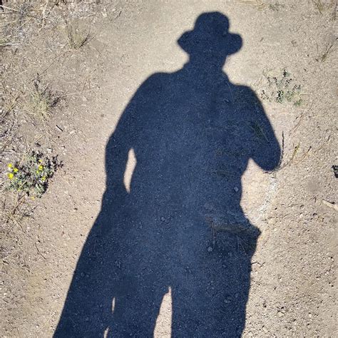 How to Find Domain of Exponential Function に対する画像結果