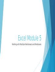 Image result for Excel Module 5 Project