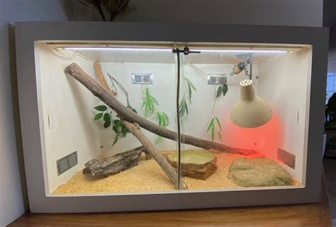 Image result for Stimson Python Tank Setups