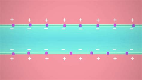 Afbeeldingsresultaten voor Crash Course Neurons