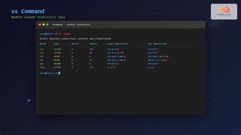 Image result for Example of Usage of SS Command in Linux