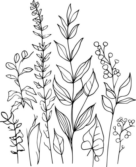 How to Draw Line Using SVG కోసం చిత్ర ఫలితం