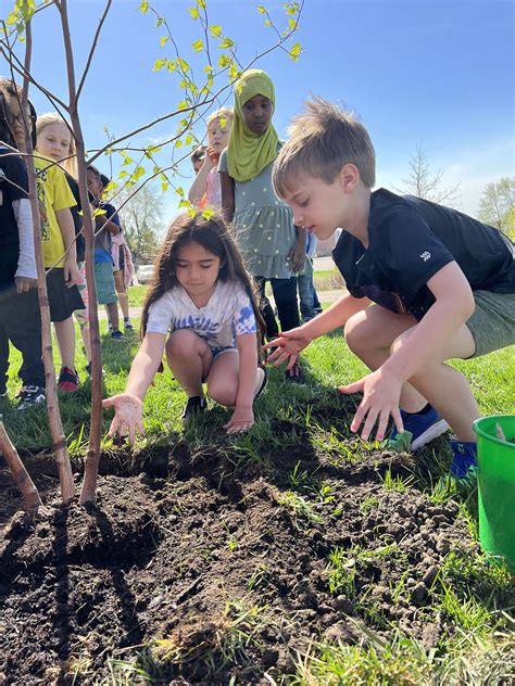 Image result for Geaneous Tree