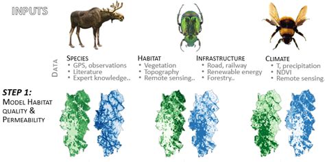 Image result for Workflow of Two Environment