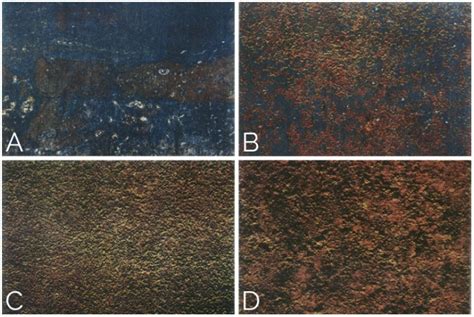 Image result for Differnt Levels of Rust