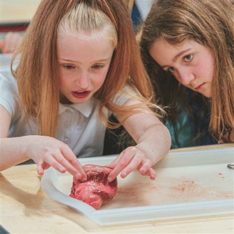 Mat High HTML Case Tutorial に対する画像結果