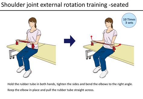 Image result for What Is Shoulder Internal Rotation