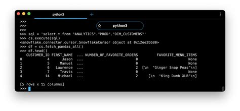 Python Query Snowflake に対する画像結果