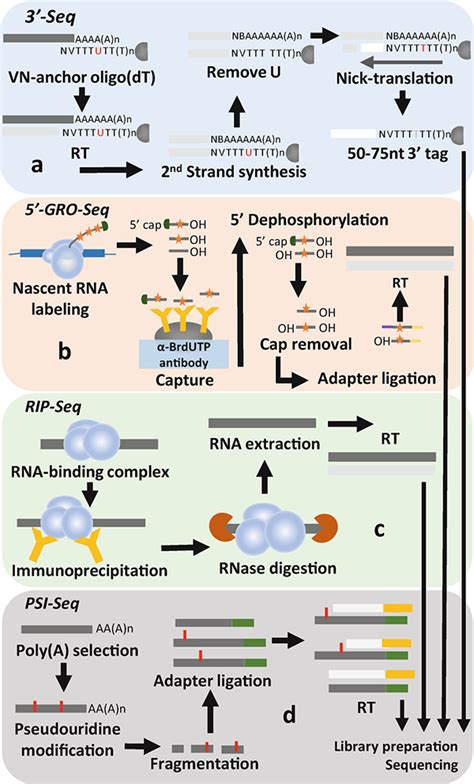 RNA Transcriptome に対する画像結果