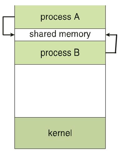 Afbeeldingsresultaten voor Program and Process in OS