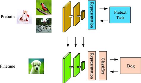 Toradh íomhá ar Self Supervised Learning Tutorial