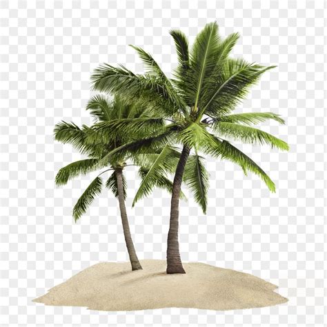 Palm Tree Sticker PNG に対する画像結果