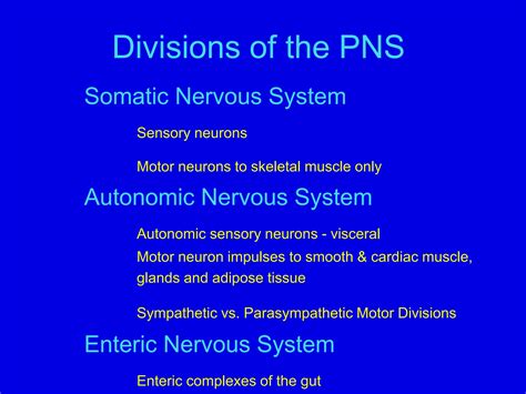 Image result for Nervous System Structure and Function