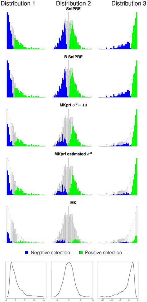 Image result for Selection Effect Formula