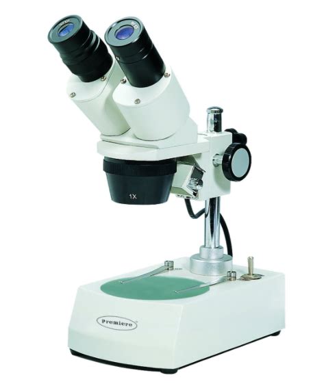 Image result for Stereo Microscope
