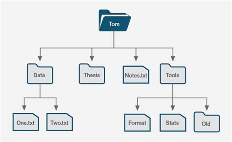 Image result for Does File System Work On a Tree Data Structure Generally Speaking