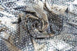 Desert Python Skin に対する画像結果