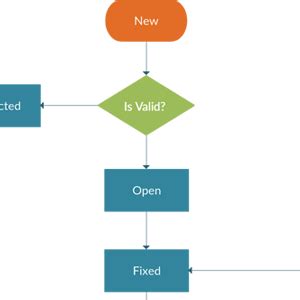 Image result for Software Defect Workflow