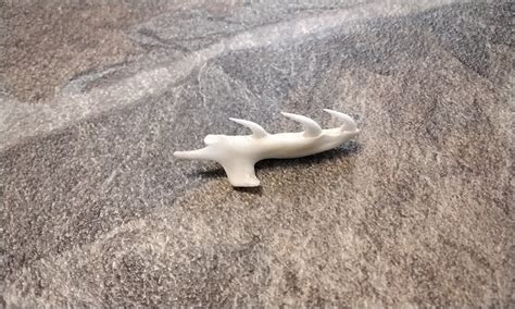 Toradh íomhá ar Python Jaw Model