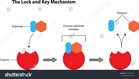Image result for Key Lock Mechanism