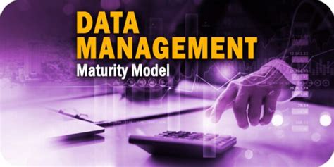 Image result for PWC Data Management Maturity Model