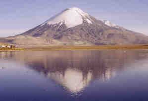 Image result for Common Examples of Reflection Symmetry