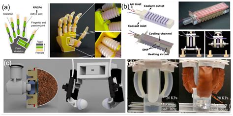 Image result for Science Hand