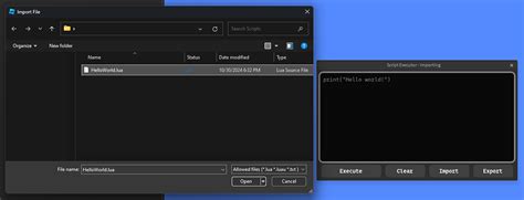 Image result for How to Use a Script Executor for Roblox